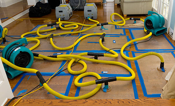 Professional Crawl Space Water Removal technician working in Porter Ranch, CA